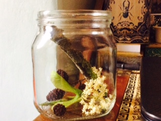 Early_June_Walk_JarofMemories(Kylie_Norman)