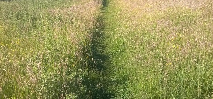 High_Royds_Lake_Path(Kylie_Norman)