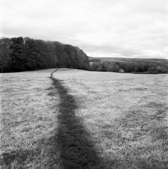 Matthew_Modget_Field_Path_2016