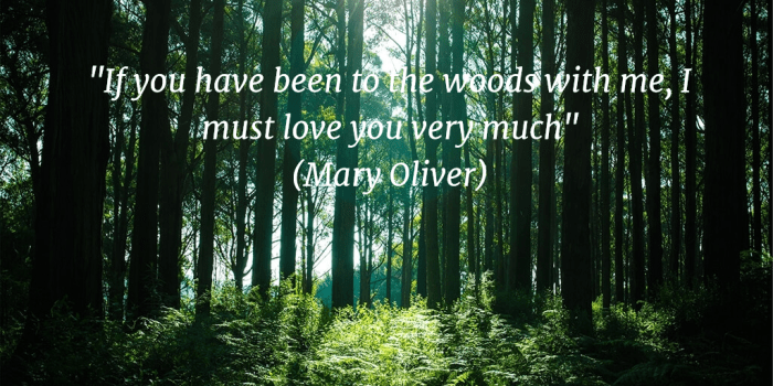 Mary_Oliver_Woods_Quote