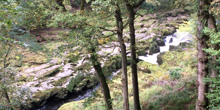 Sept_BoltonAbbey10